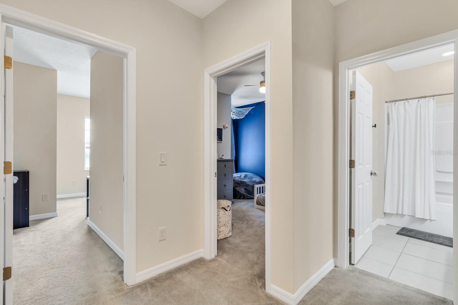 2169 SEDGE GRASS WAY, ORLANDO, FL, 32824