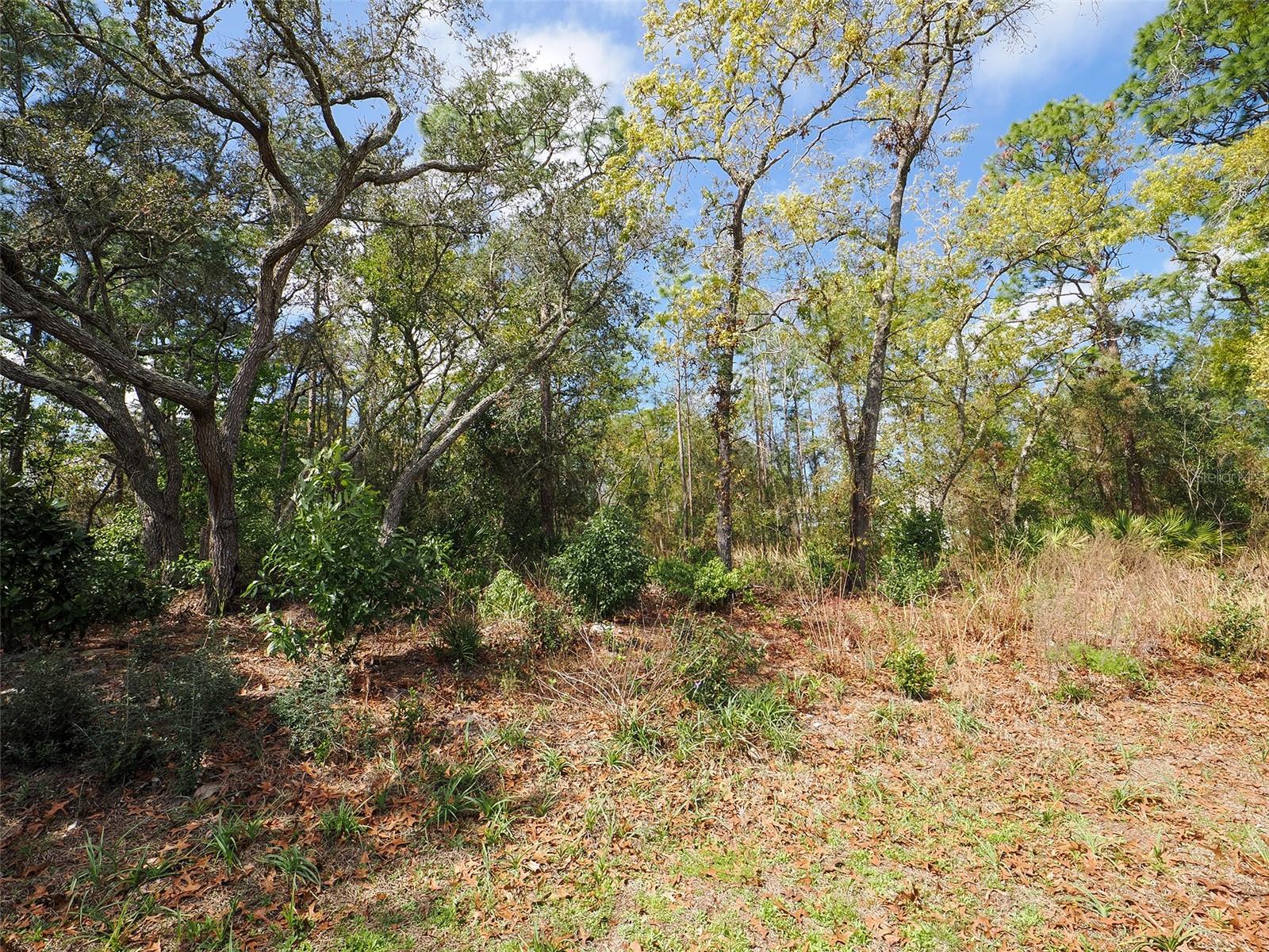 6 COLUBRINA CT, HOMOSASSA, FL, 34446