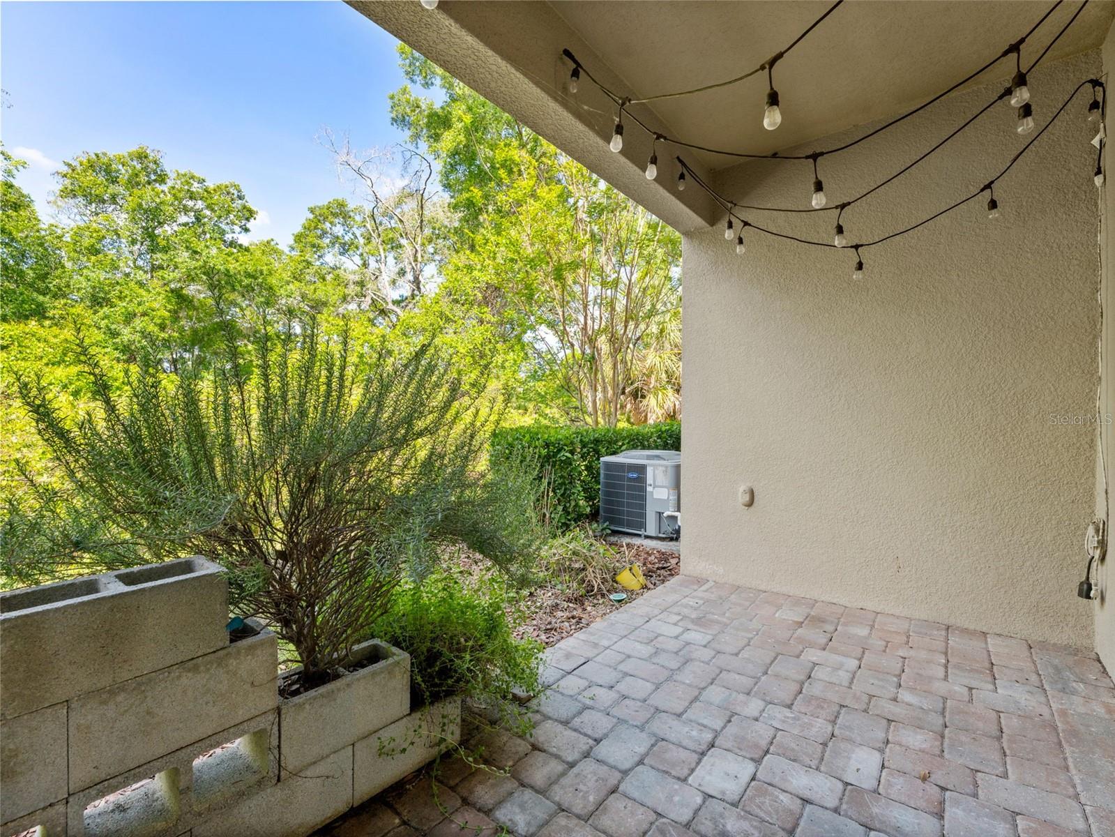 5845 GRAND SONATA, TAMPA, FL, 33558