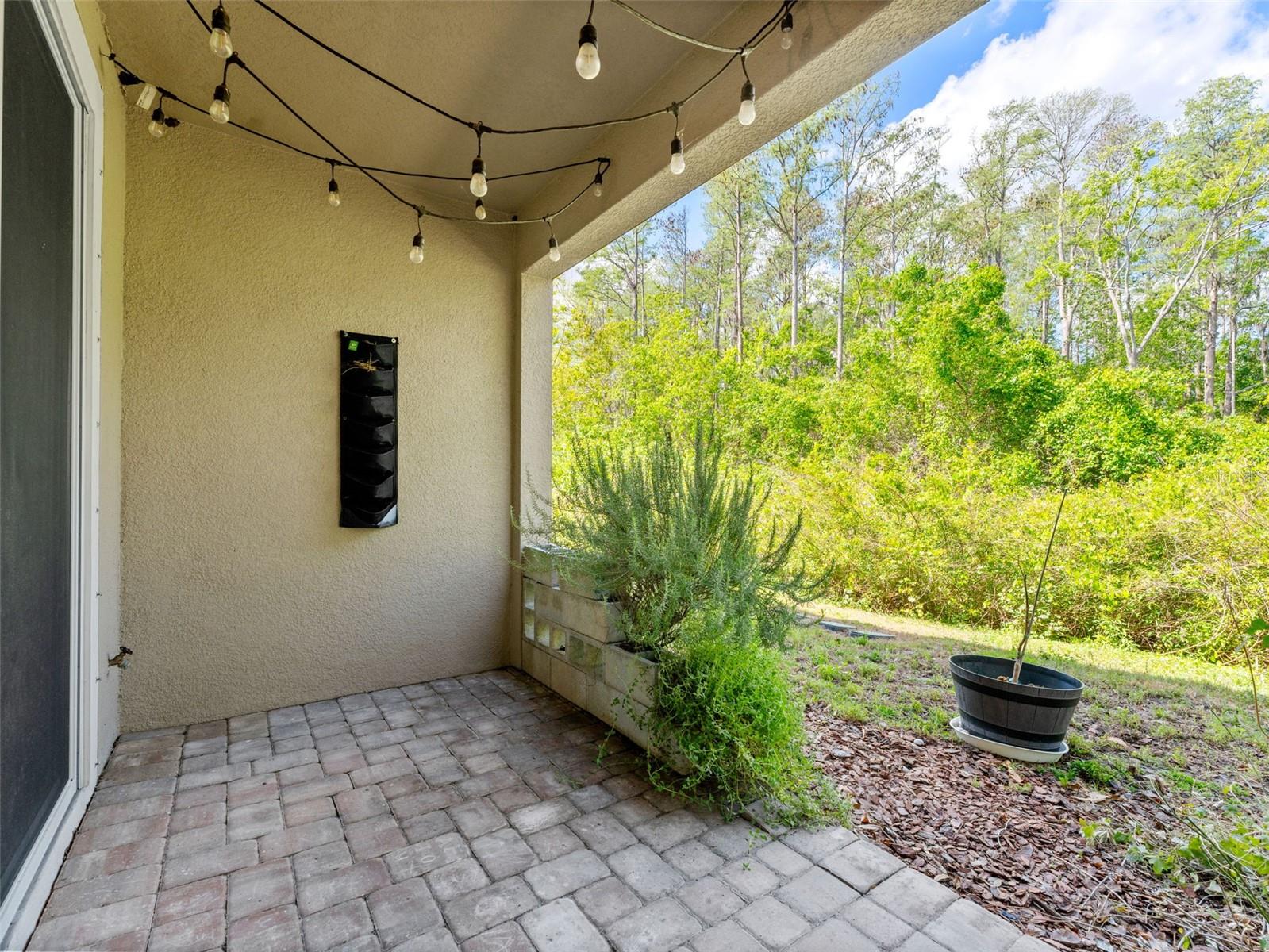 5845 GRAND SONATA, TAMPA, FL, 33558
