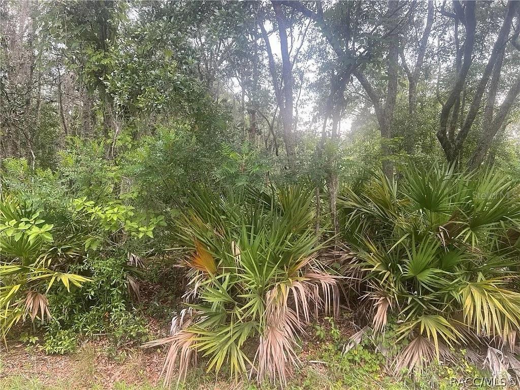 8488 N IRONWOOD TER, CRYSTAL RIVER, FL, 34428