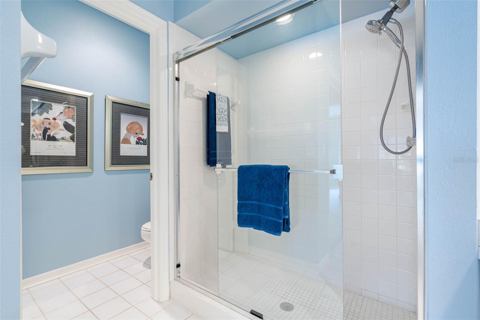 ... Privacy Room & Walk in Shower.... Guest Bath on Other Side of Condo Has a  Tub with Shower..