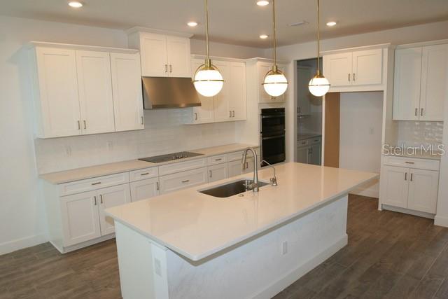 7177 TALAMORE DR, WESLEY CHAPEL, FL, 33545