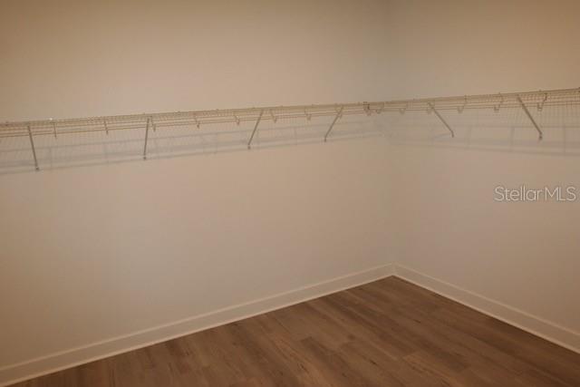 7177 TALAMORE DR, WESLEY CHAPEL, FL, 33545