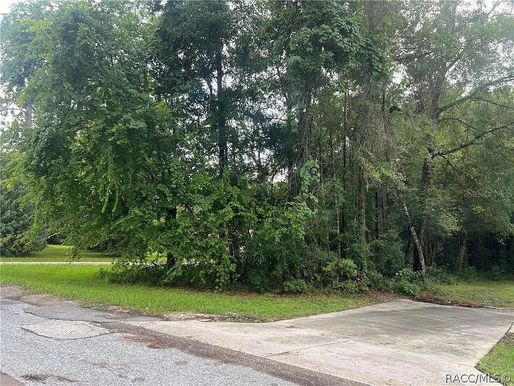178 S SCHOOL AVE, LECANTO, FL, 34461