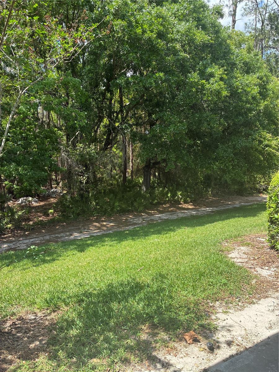 5134 SAN MARTINO DRIVE, WESLEY CHAPEL, FL, 33543