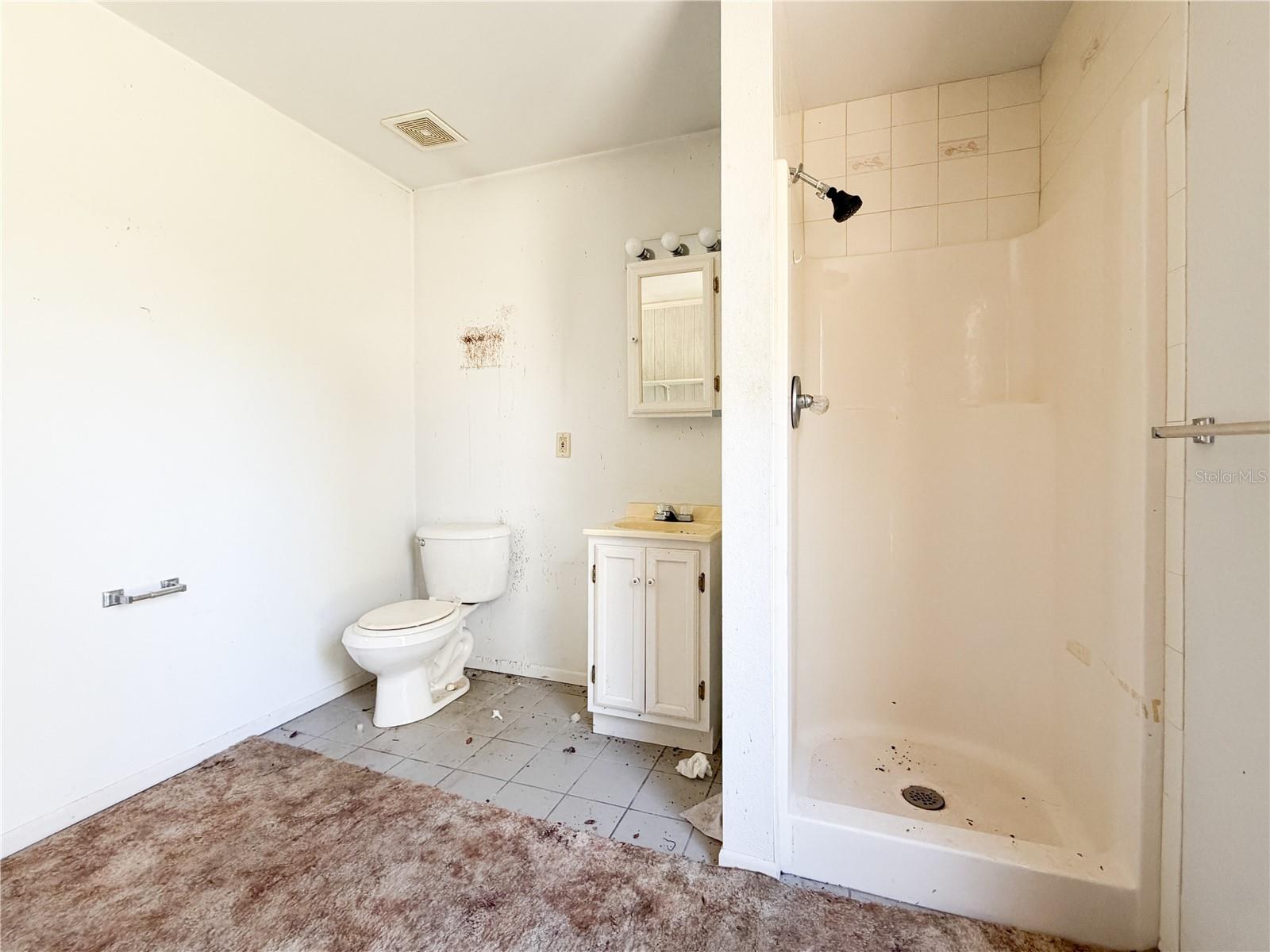 8751 NW 173RD ST, FANNING SPRINGS, FL, 32693