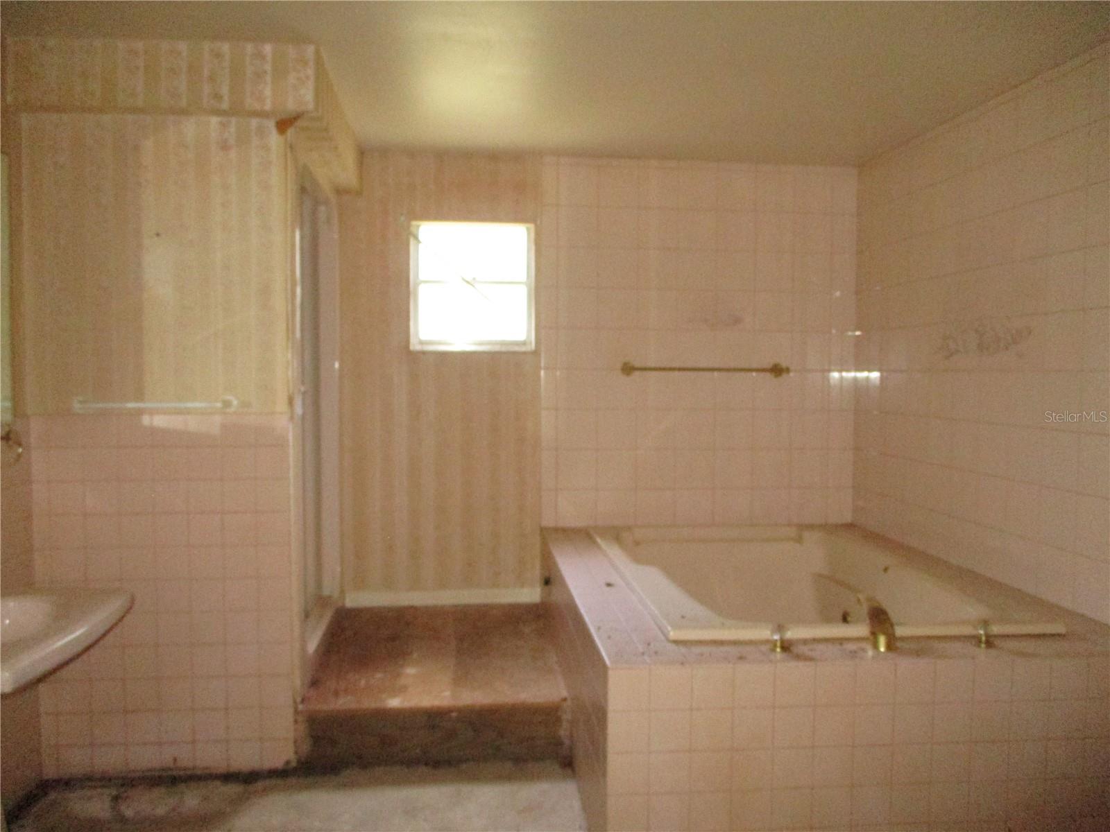 8751 NW 173RD ST, FANNING SPRINGS, FL, 32693