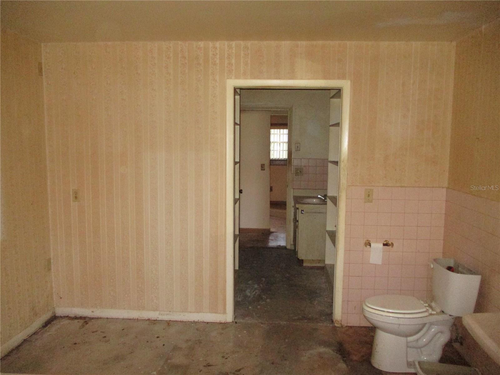 8751 NW 173RD ST, FANNING SPRINGS, FL, 32693