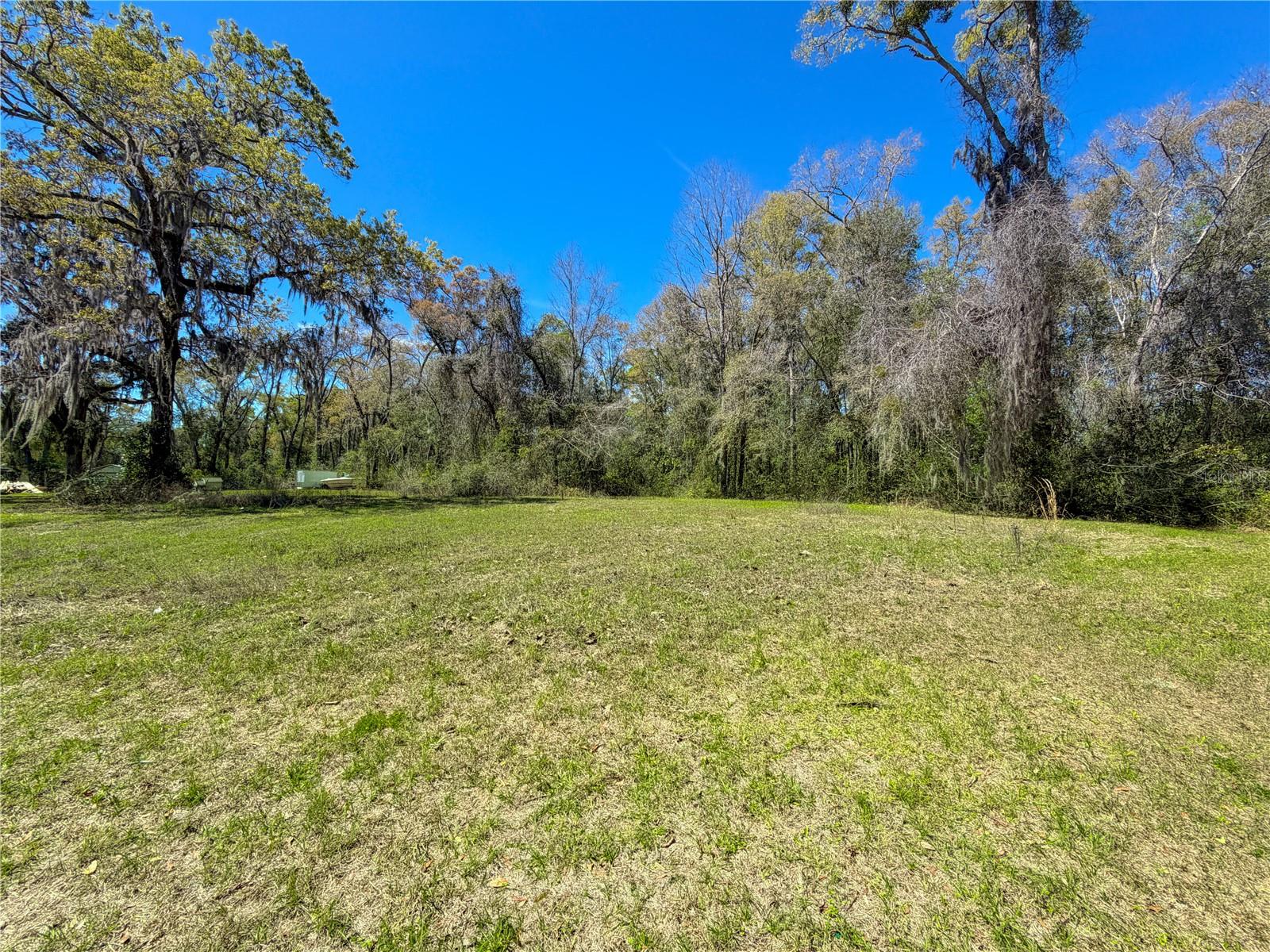 8751 NW 173RD ST, FANNING SPRINGS, FL, 32693