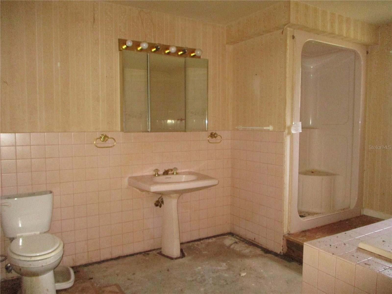 8751 NW 173RD ST, FANNING SPRINGS, FL, 32693