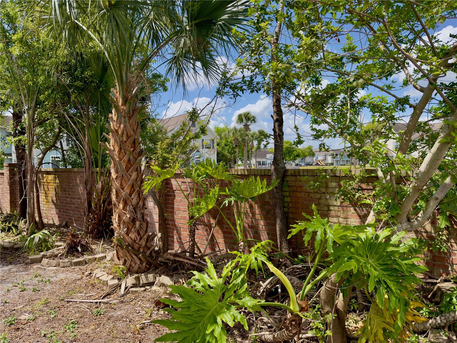 2401 CLIFFDALE ST, OCOEE, FL, 34761