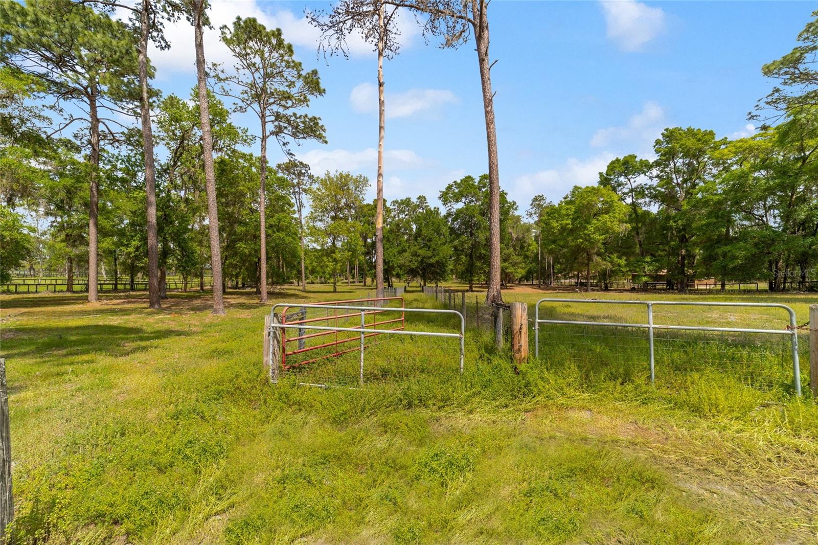 14671 W HIGHWAY 328, OCALA, FL, 34482