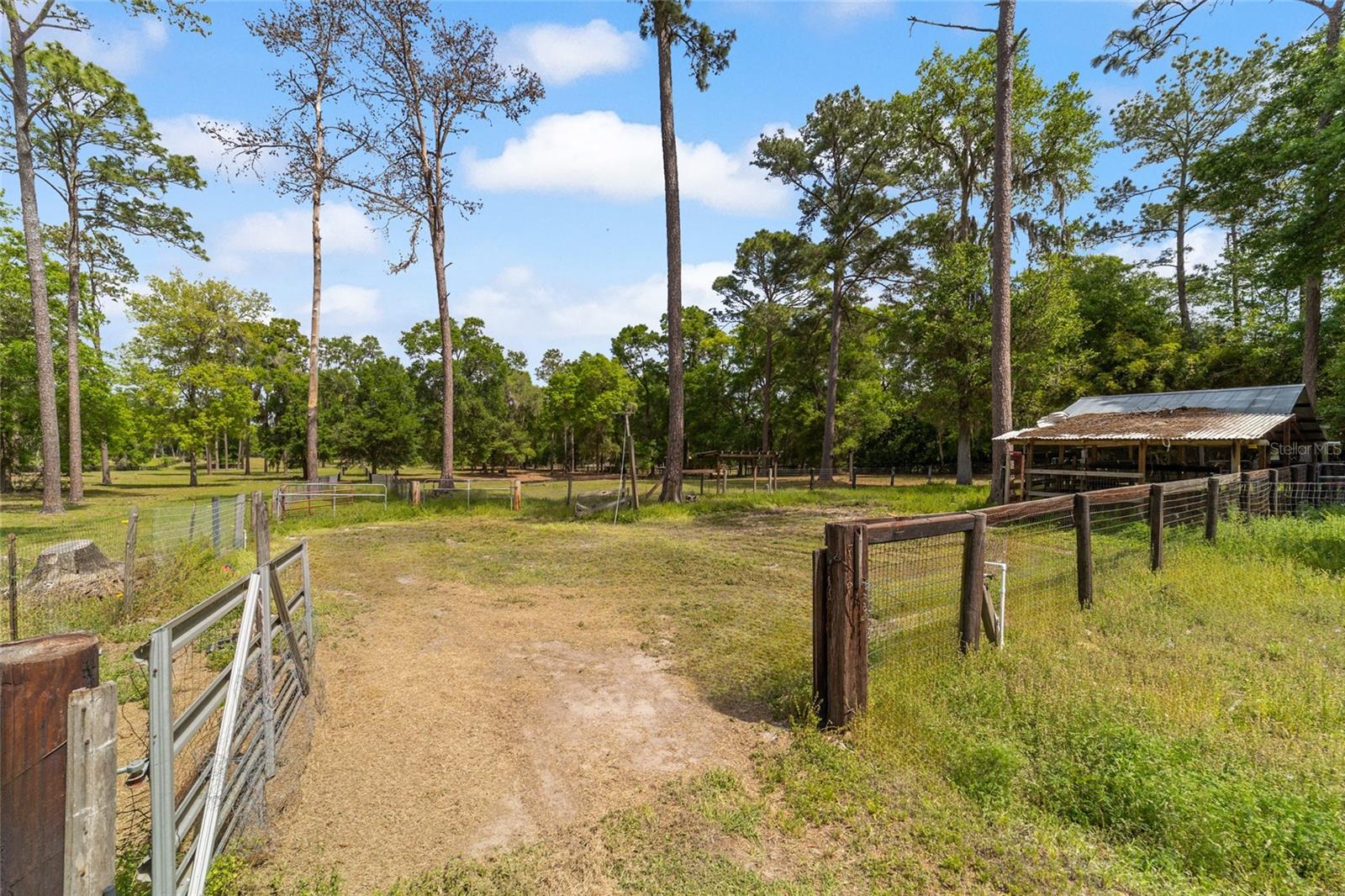 14671 W HIGHWAY 328, OCALA, FL, 34482