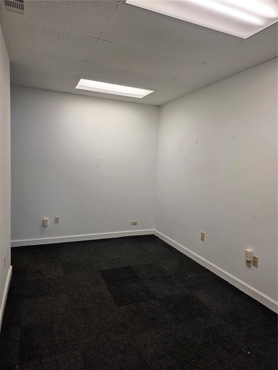 3946 LAKE PADGETT DR, LAND O LAKES, FL, 34639