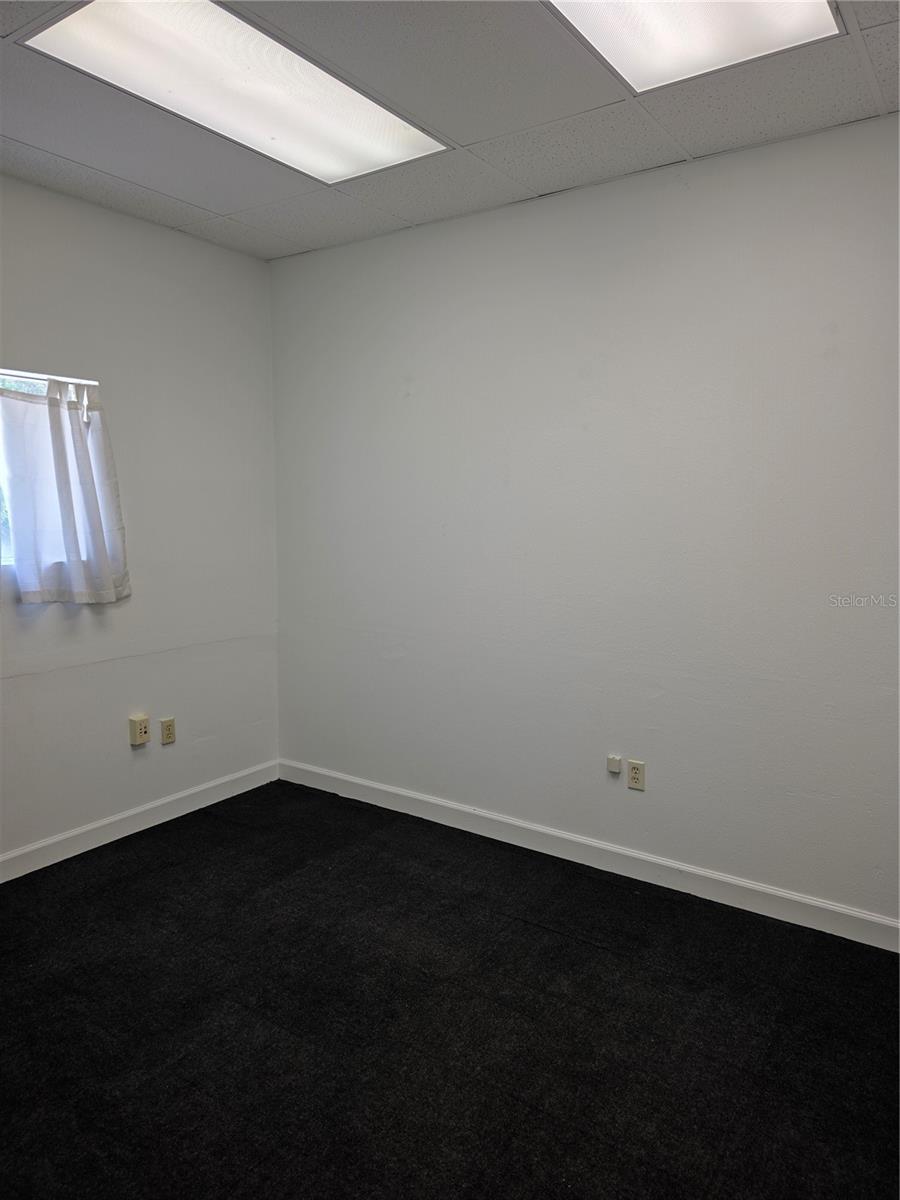 3946 LAKE PADGETT DR, LAND O LAKES, FL, 34639