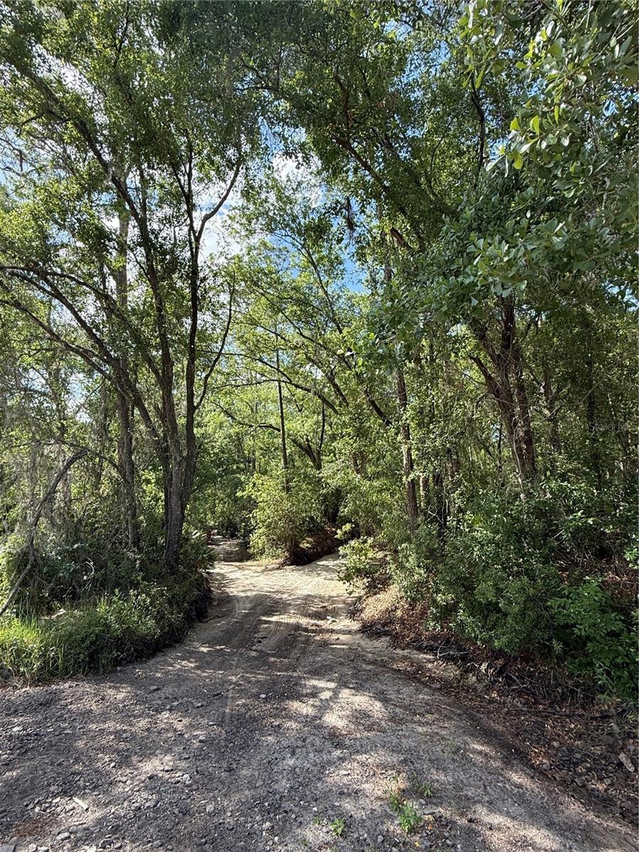 CREEKWOOD RUN, LAKELAND, FL, 33809