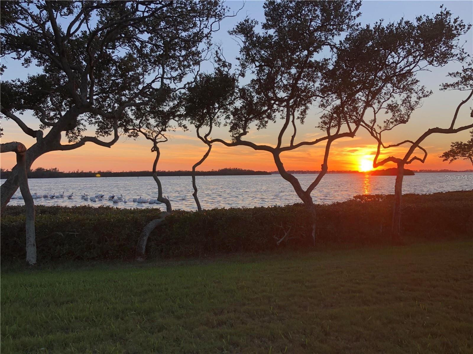 4726 POTOMAC CIR, BRADENTON, FL, 34210