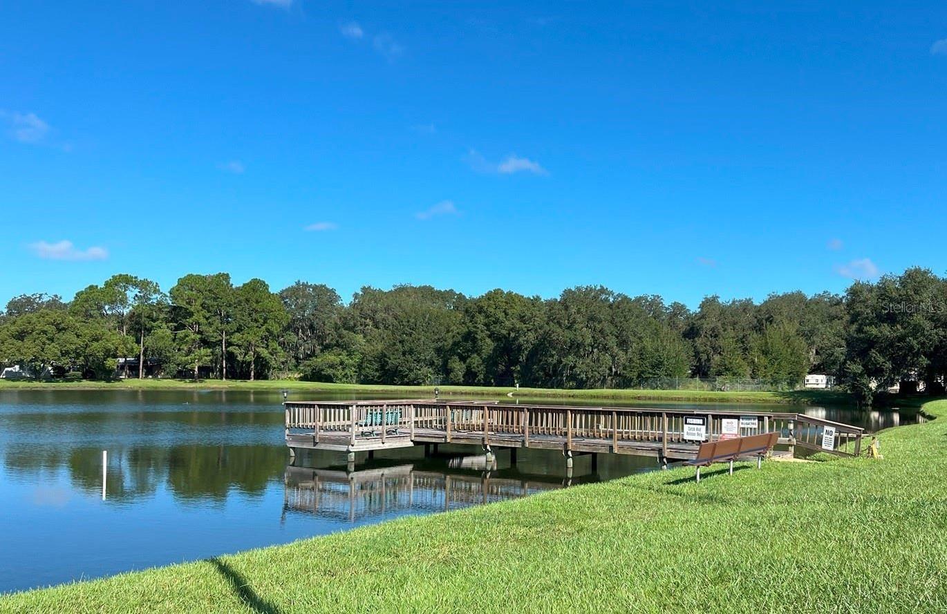 3135 GREAT OAK ST, WESLEY CHAPEL, FL, 33543