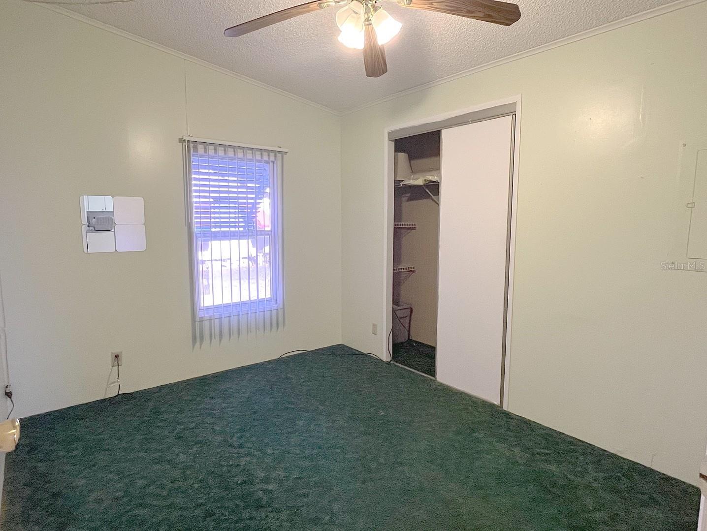 3135 GREAT OAK ST, WESLEY CHAPEL, FL, 33543