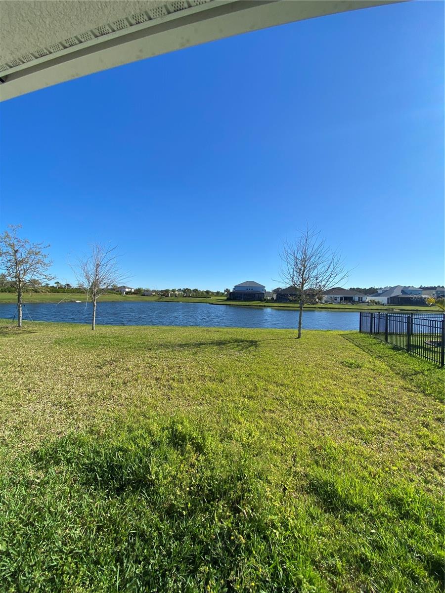34273 RADLEY WAY, WESLEY CHAPEL, FL, 33545