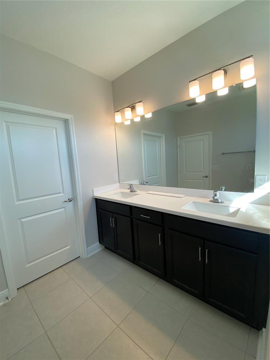 34273 RADLEY WAY, WESLEY CHAPEL, FL, 33545