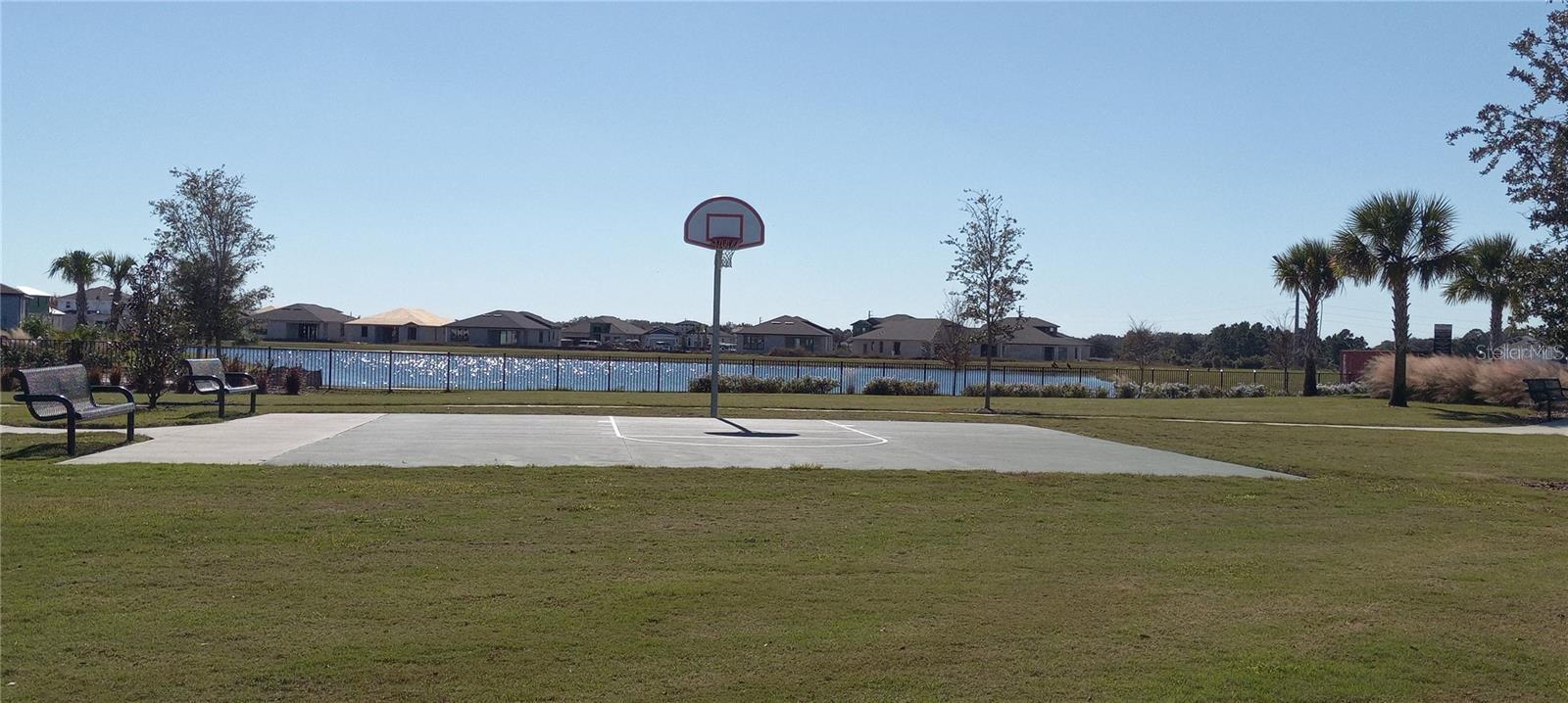 34273 RADLEY WAY, WESLEY CHAPEL, FL, 33545