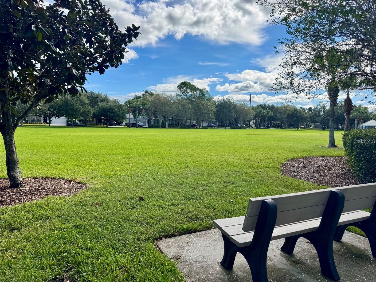 10060 FENROSE TER, ORLANDO, FL, 32827