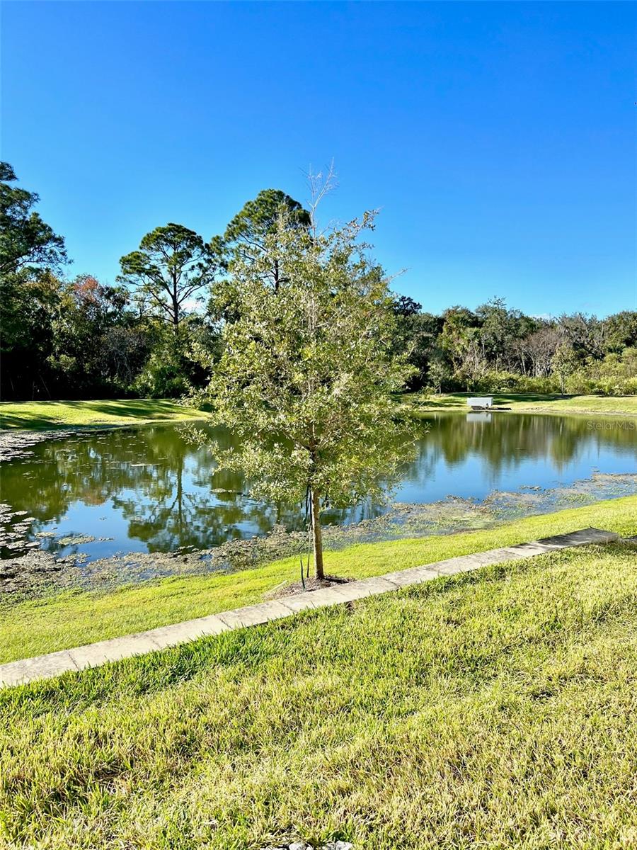 1398 CAPTIVA CV, SANFORD, FL, 32771