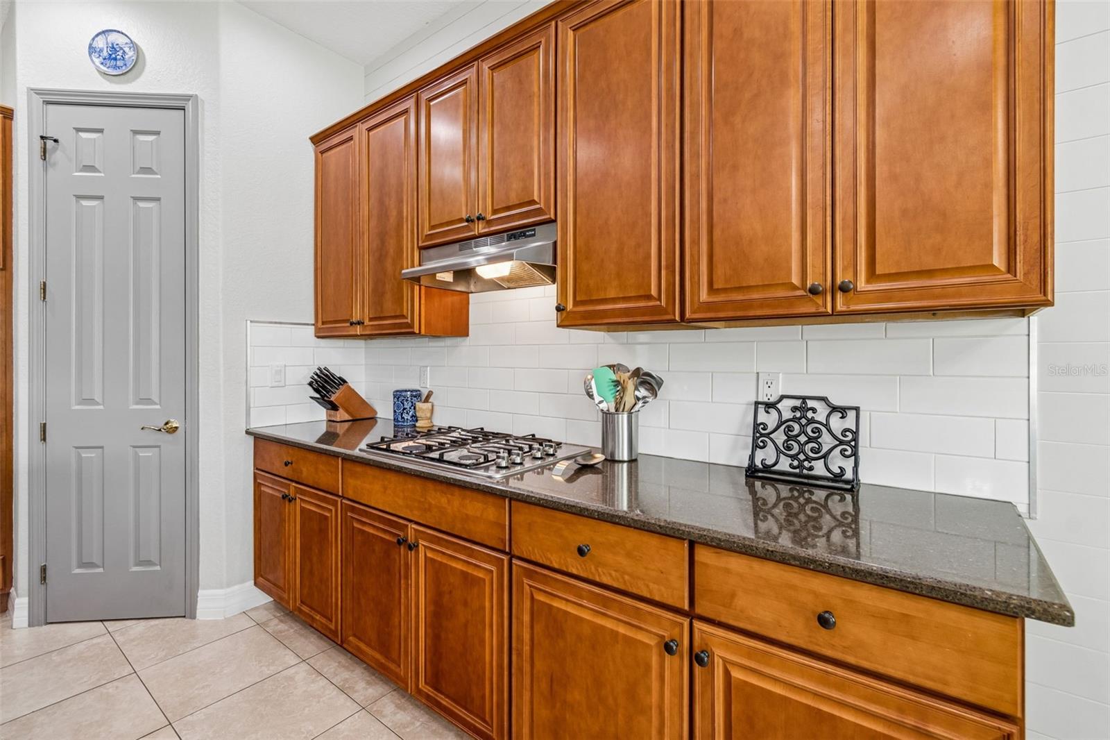 11830 NEWBERRY GROVE LOOP, RIVERVIEW, FL, 33579