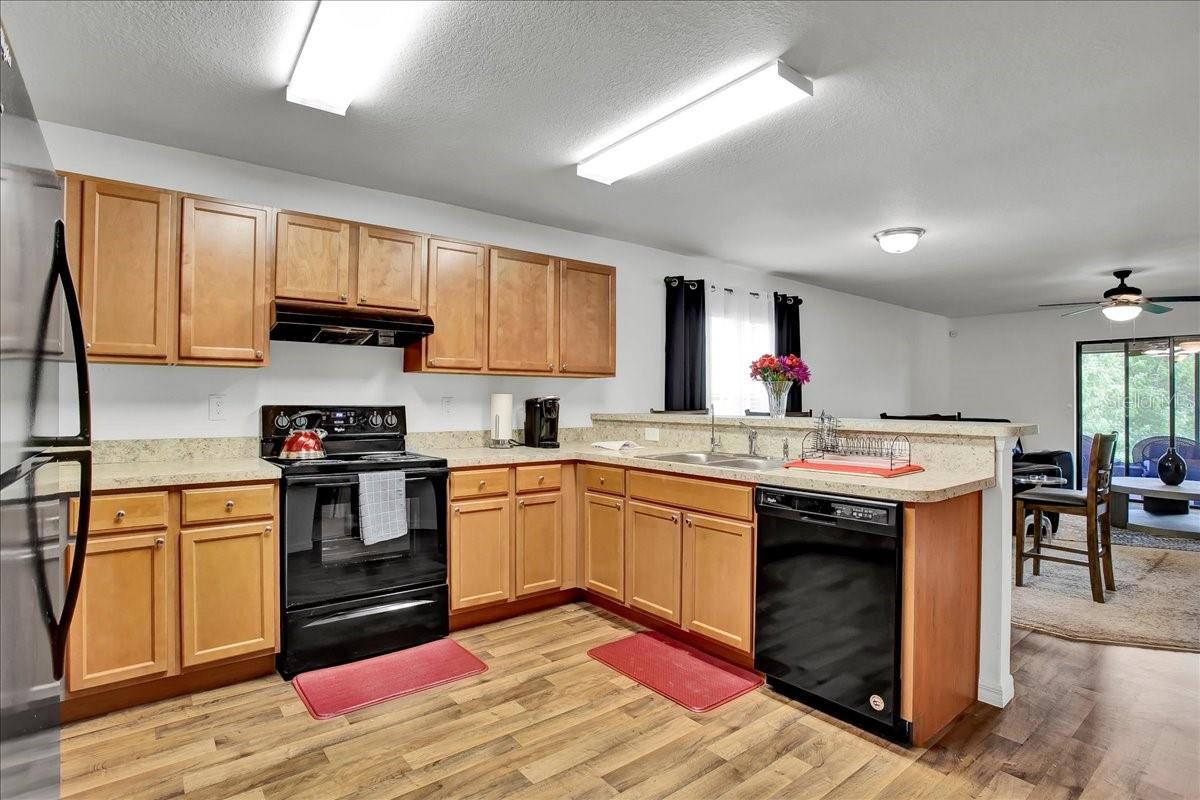 616 CHATHAM WALK DR, RUSKIN, FL, 33570