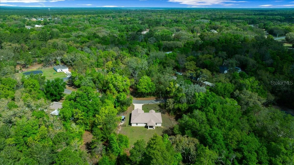 8 GUAVA PASS TRL, OCKLAWAHA, FL, 32179