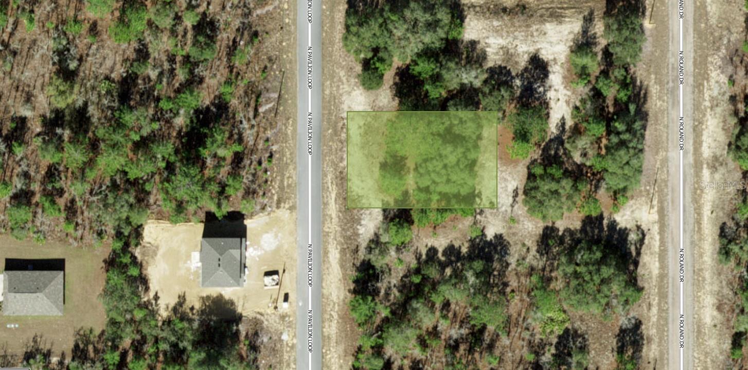 6545 N PAVILION LOOP, CITRUS SPRINGS, FL, 34433