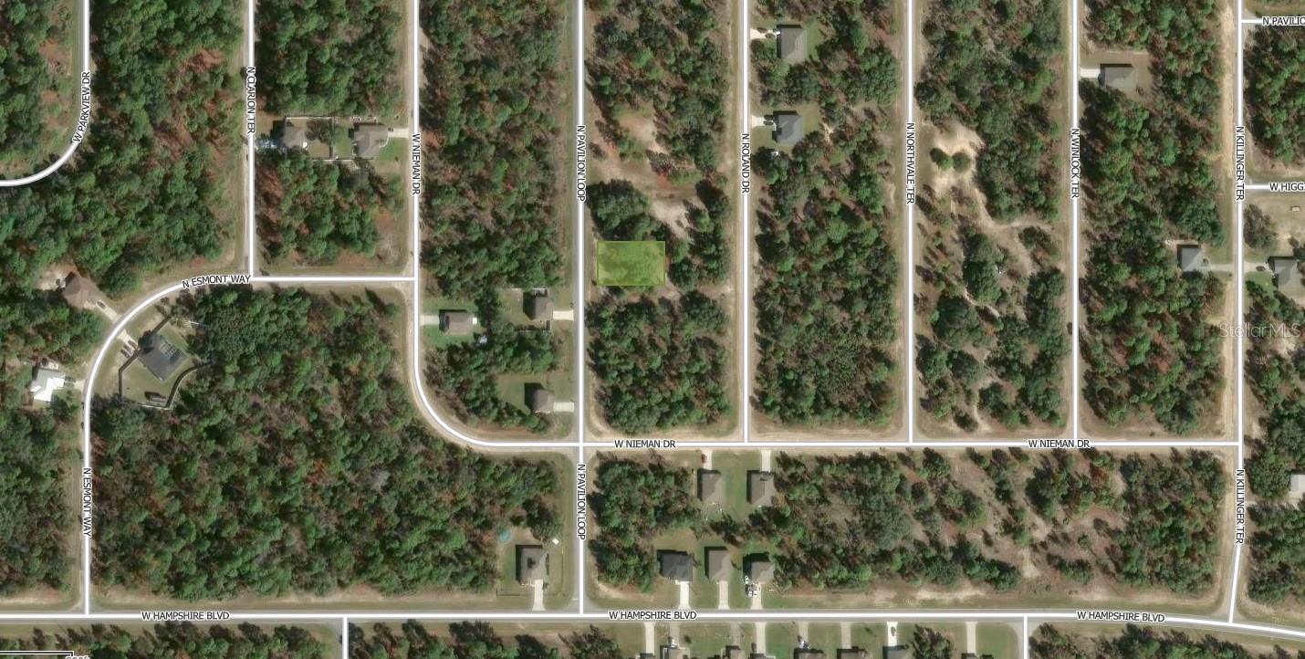 6545 N PAVILION LOOP, CITRUS SPRINGS, FL, 34433