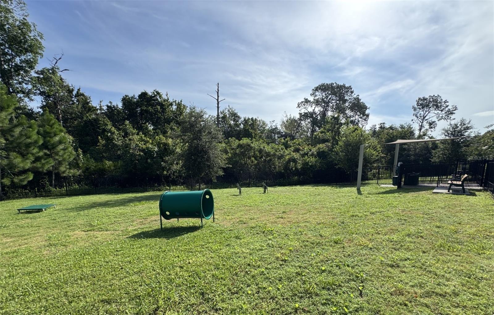 17006 SEVILLE ORANGE RD, WINTER GARDEN, FL, 34787