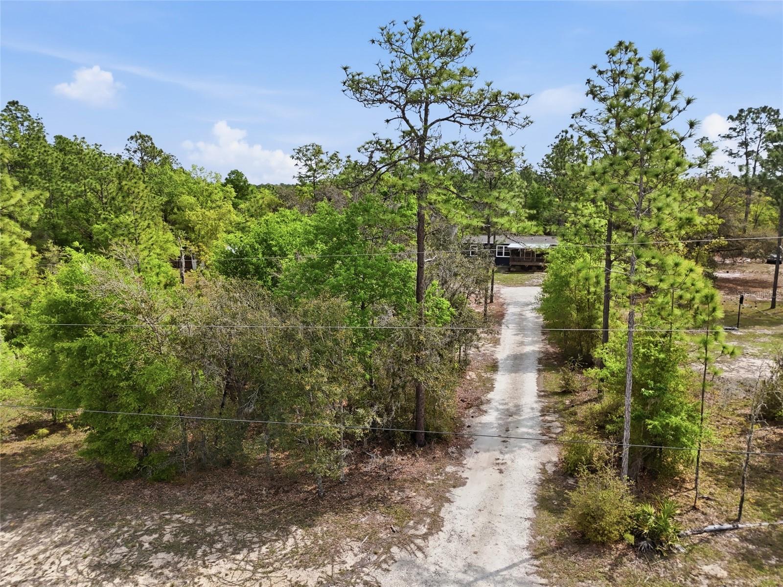 11731 NE 106TH CT, ARCHER, FL, 32618