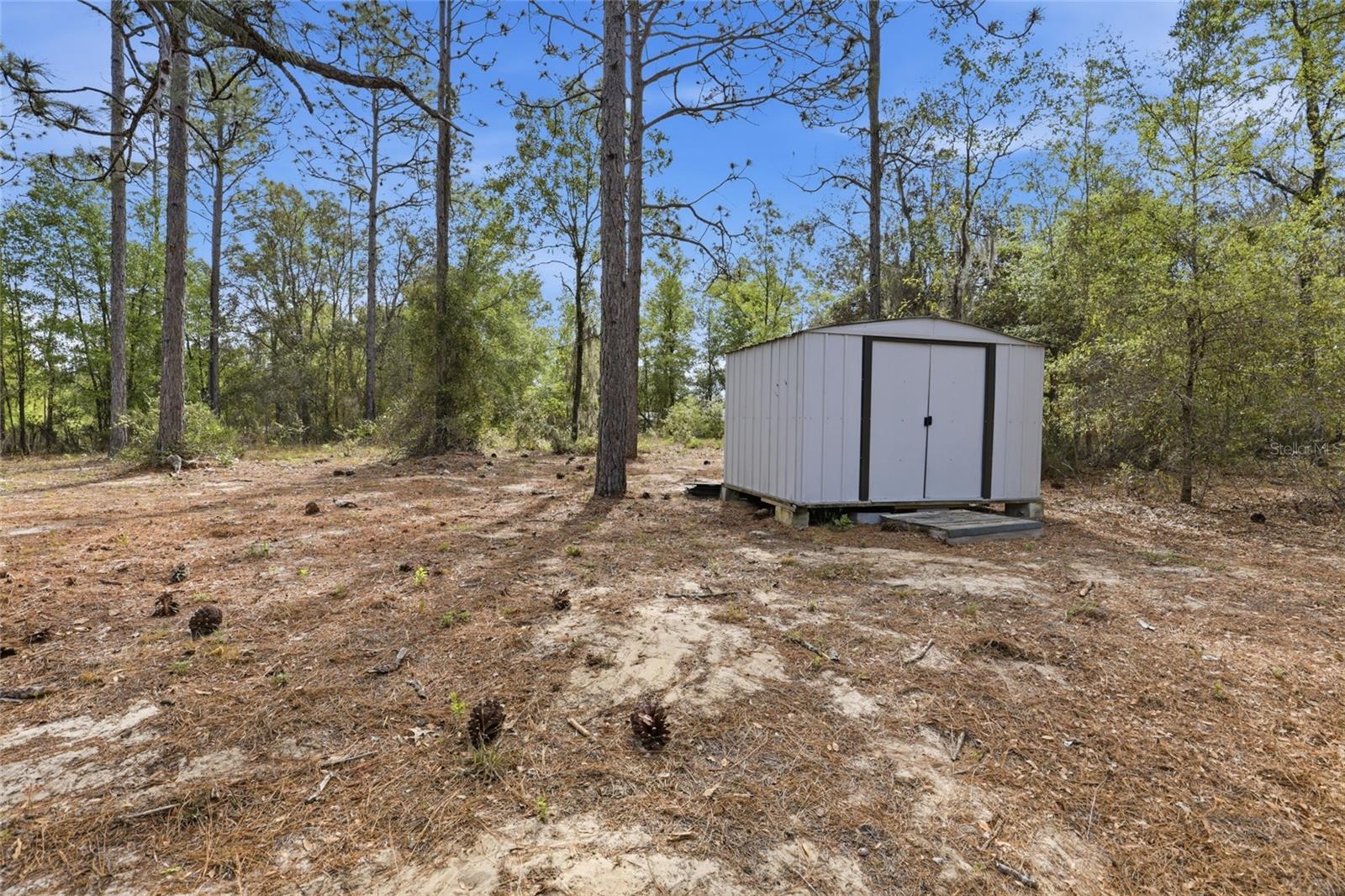 11731 NE 106TH CT, ARCHER, FL, 32618