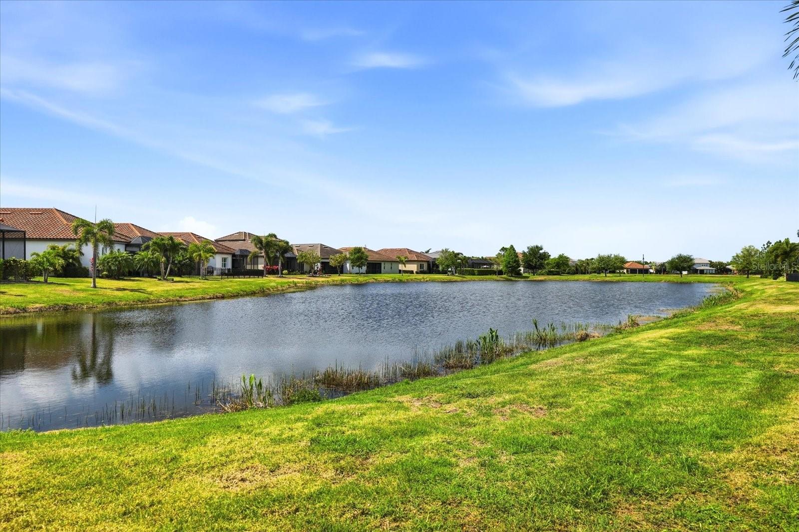 12422 PERENNIAL PL, LAKEWOOD RANCH, FL, 34211