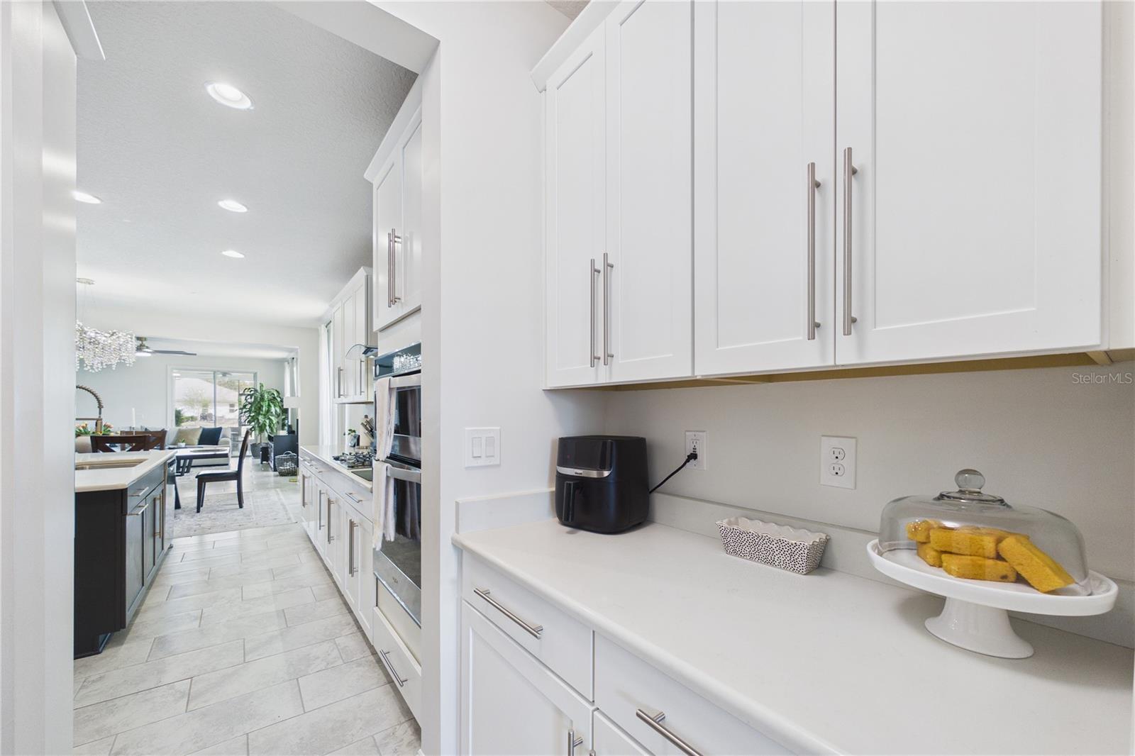 458 CONVEX LN, ST AUGUSTINE, FL, 32095