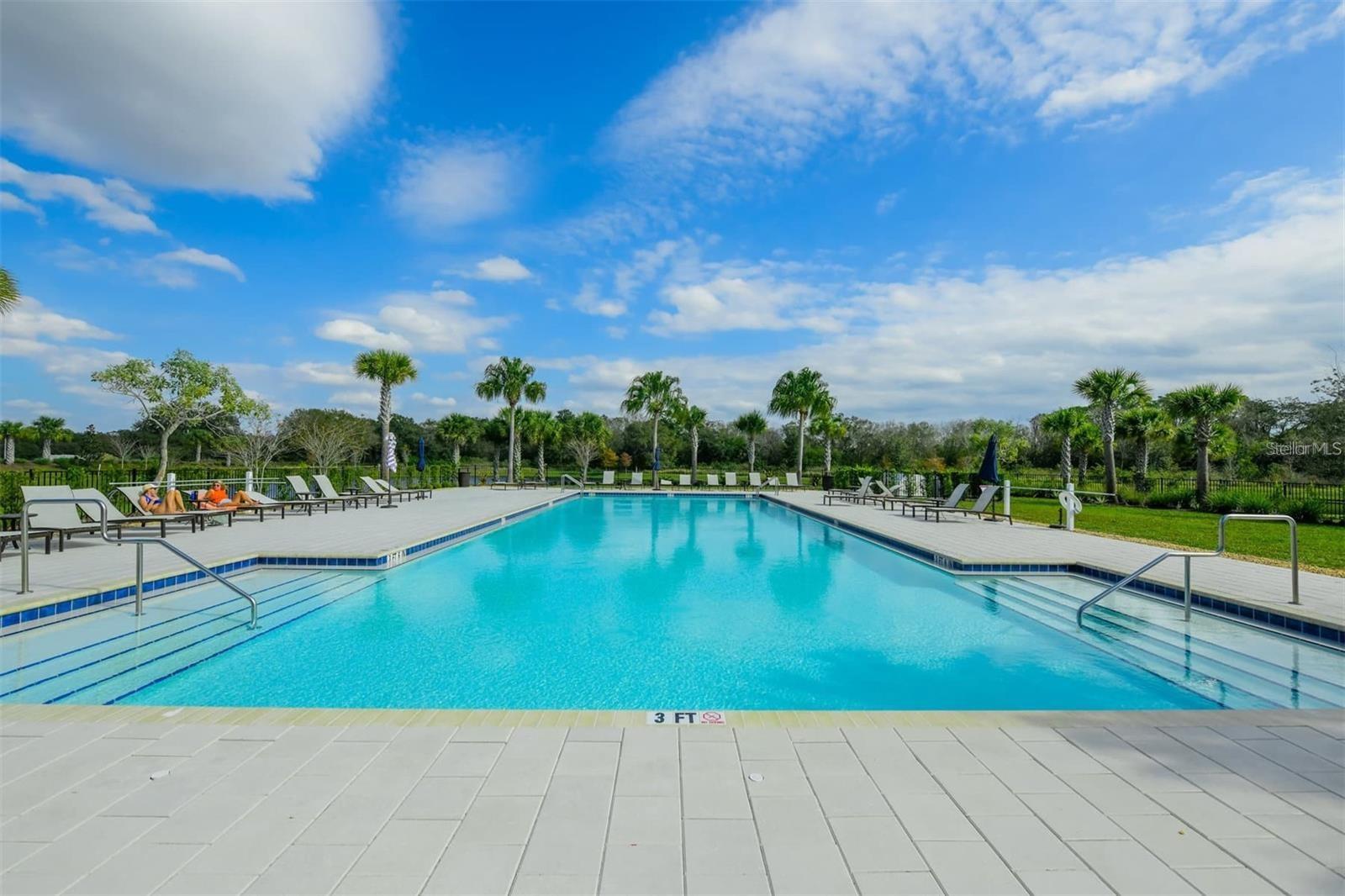 3806 SAVANNA PALMS CT, LAKEWOOD RANCH, FL, 34211