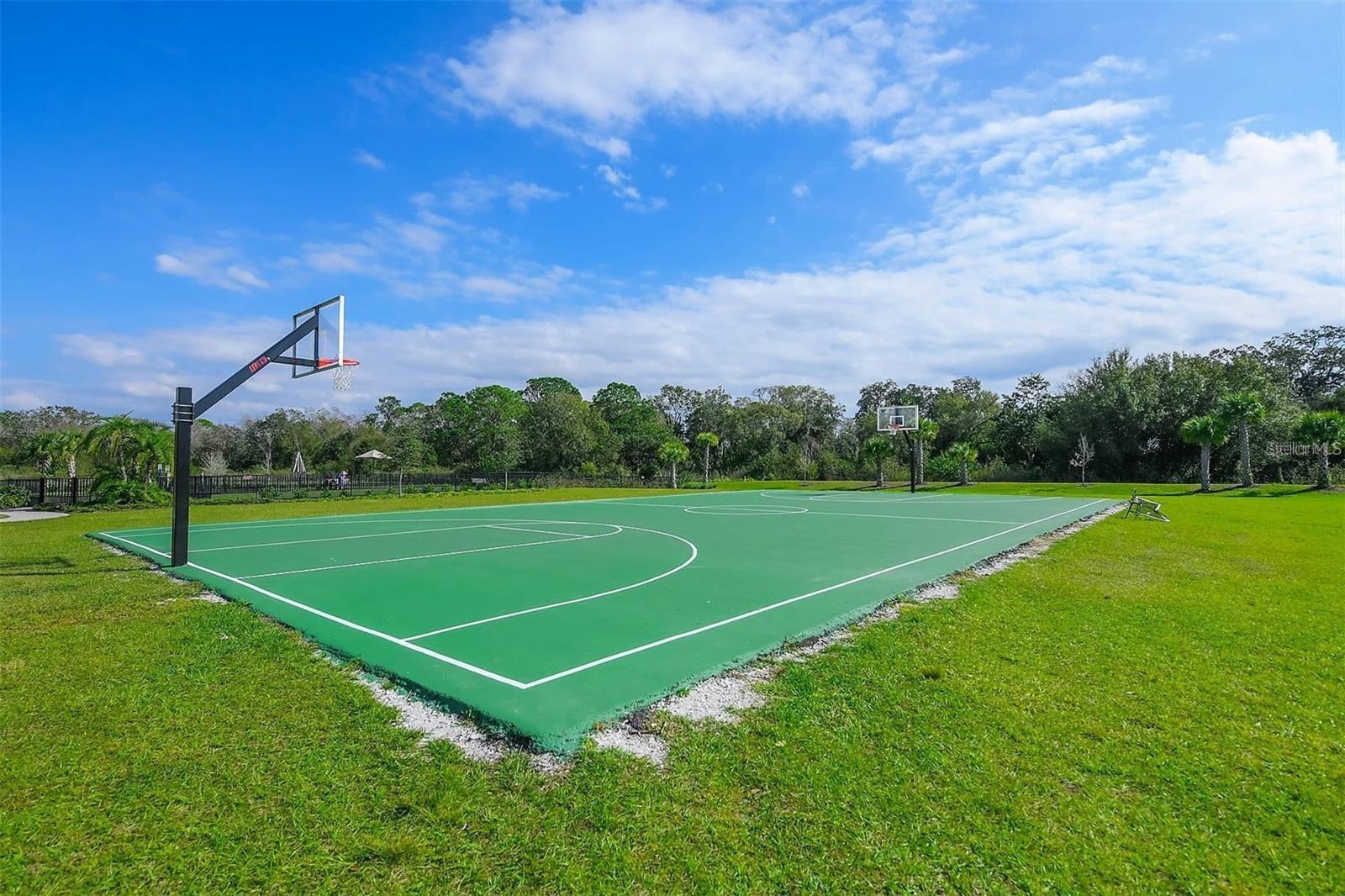 3806 SAVANNA PALMS CT, LAKEWOOD RANCH, FL, 34211