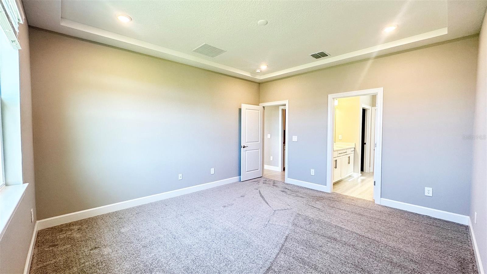 3806 SAVANNA PALMS CT, LAKEWOOD RANCH, FL, 34211