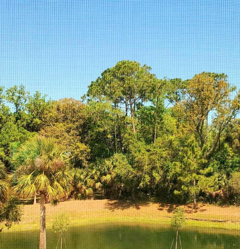 179 MISTY HARBOR TRCE, PALM COAST, FL, 32137