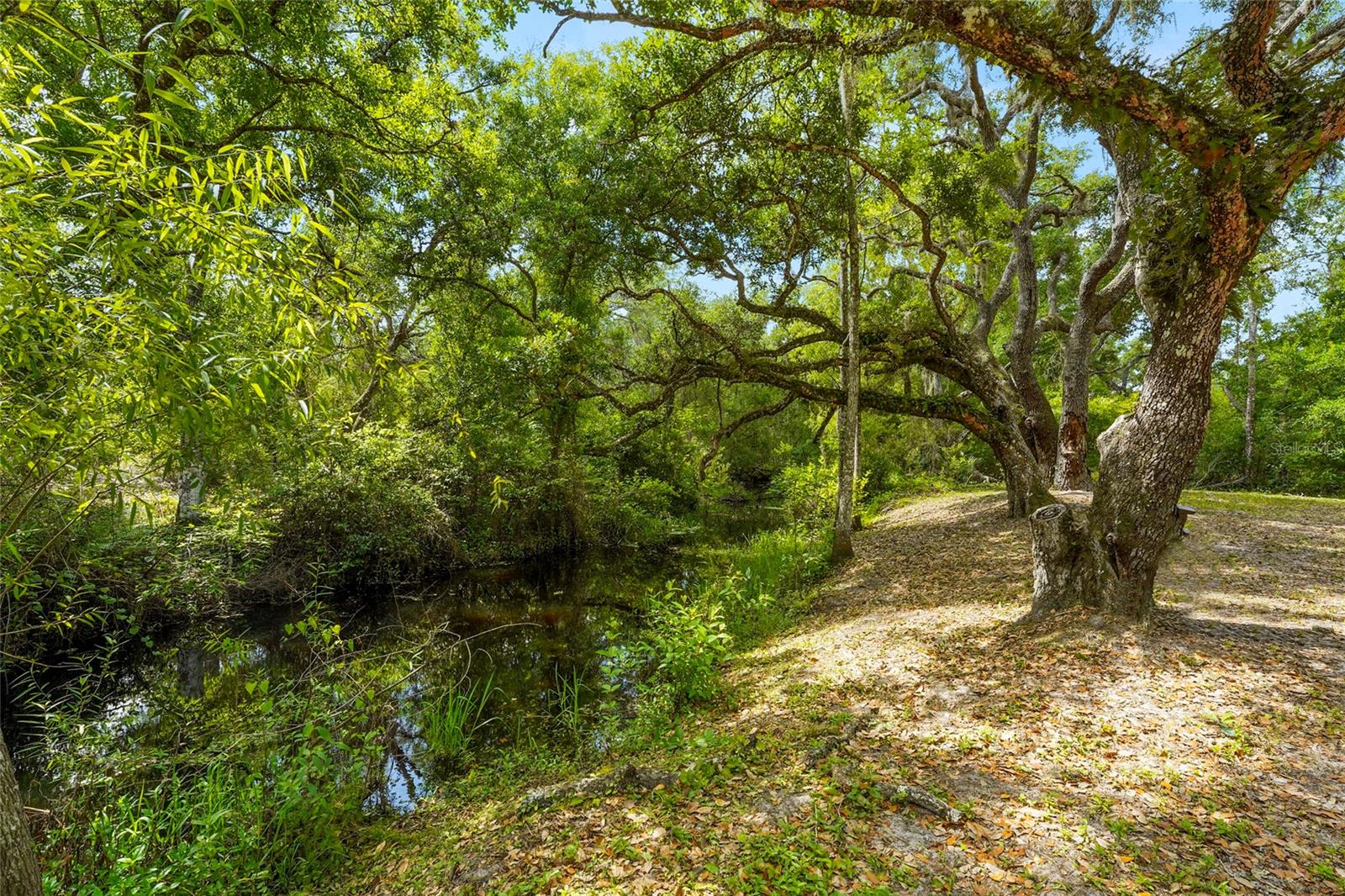 25640 STATE ROAD 70 E, MYAKKA CITY, FL, 34251