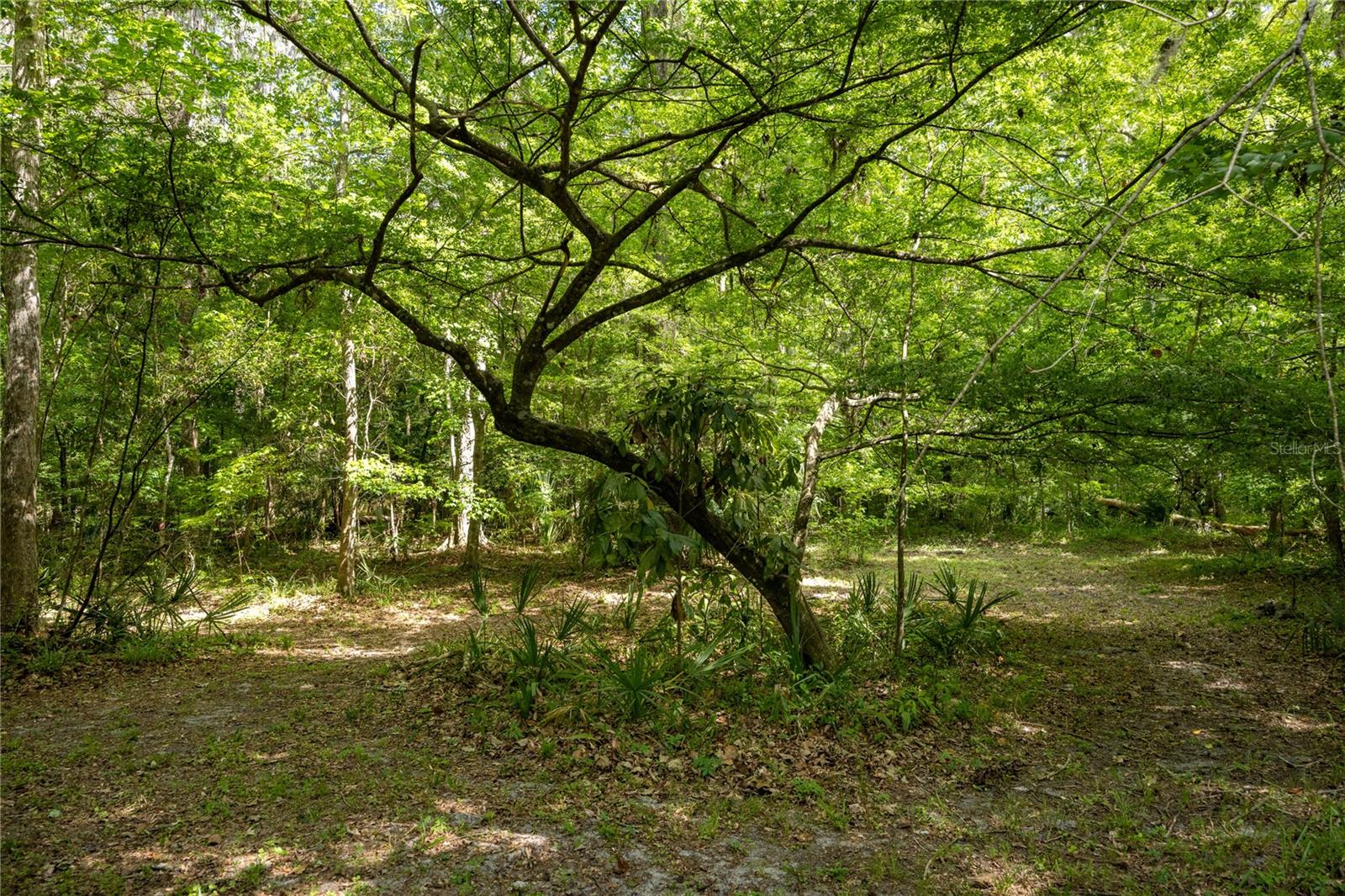 3519 NW 30TH BLVD, GAINESVILLE, FL, 32605