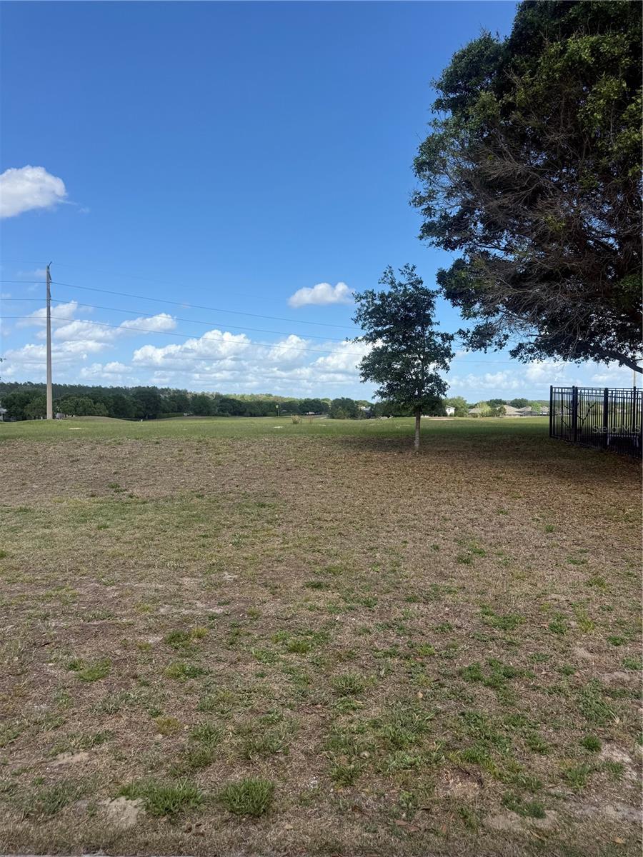 23635 COMPANERO DR, SORRENTO, FL, 32776
