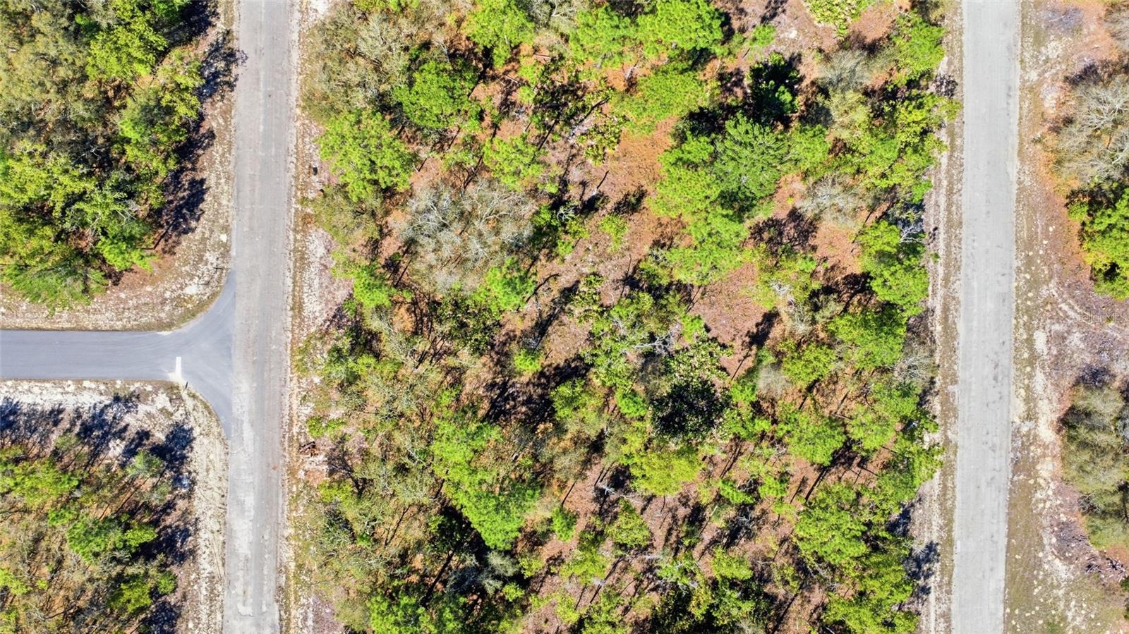 1877 W PENDLETON ST, DUNNELLON, FL, 34434
