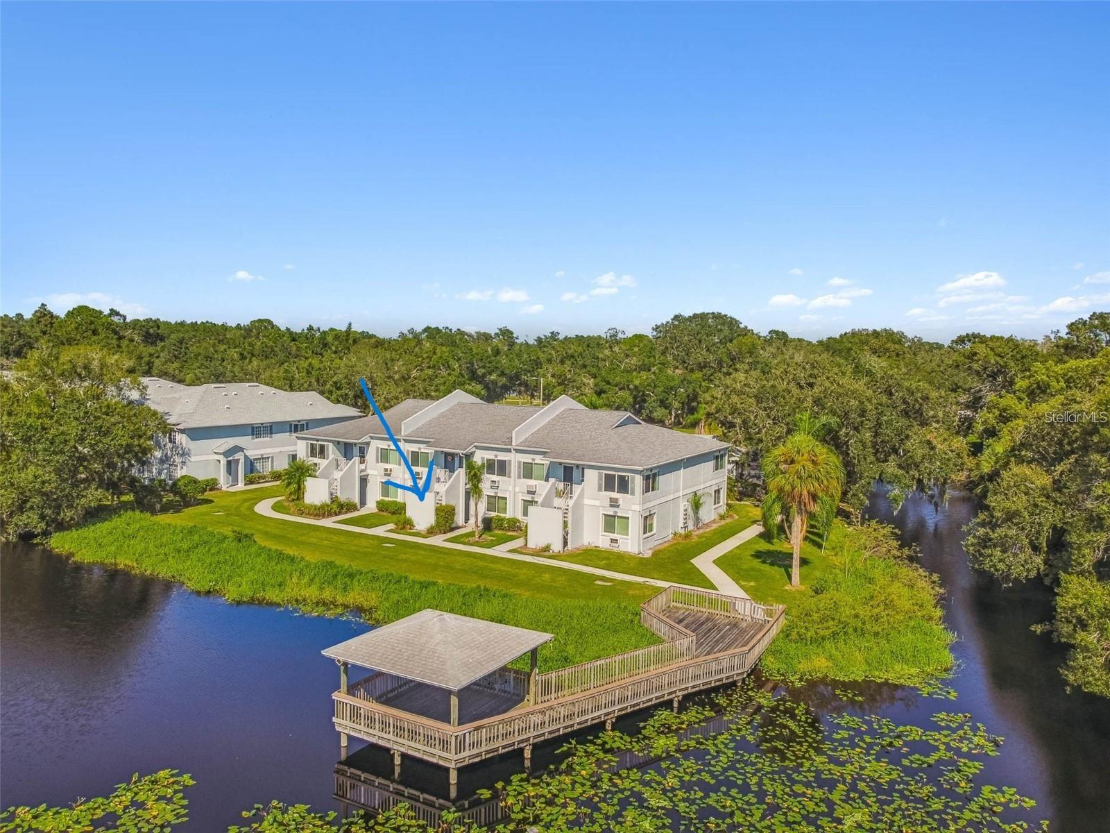 4141 DOLPHIN DR #4141, TAMPA, FL, 33617