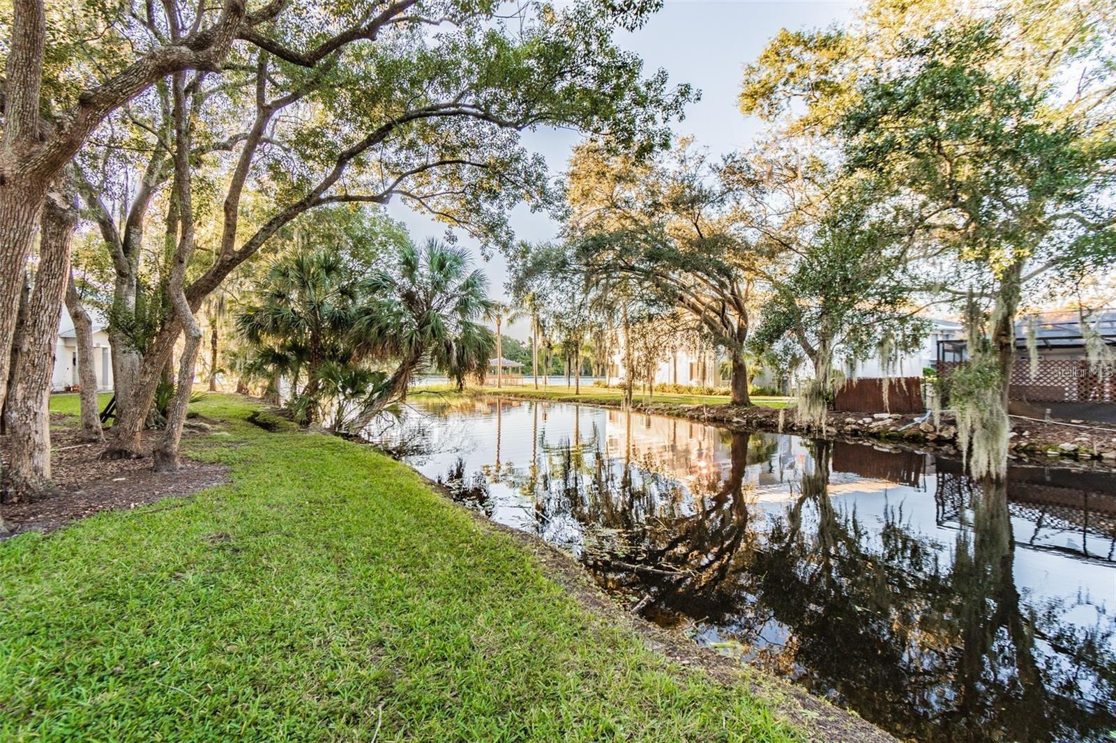 4141 DOLPHIN DR #4141, TAMPA, FL, 33617