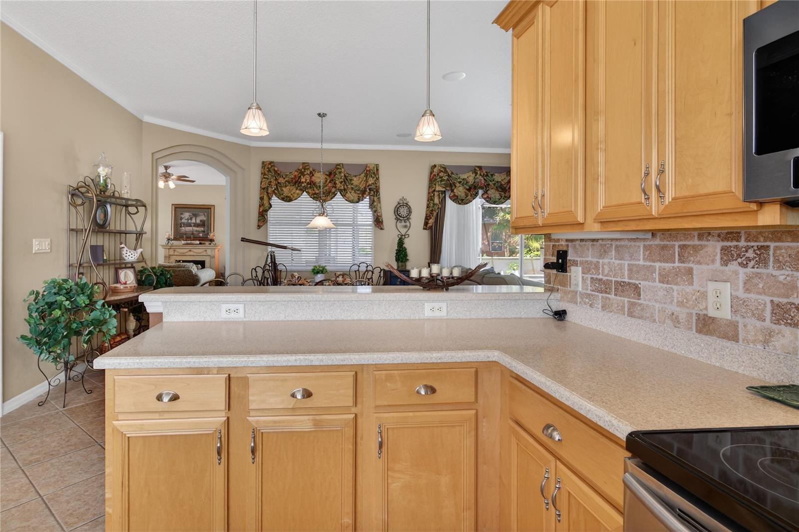 5225 CHANTICLEER DR, LEESBURG, FL, 34748